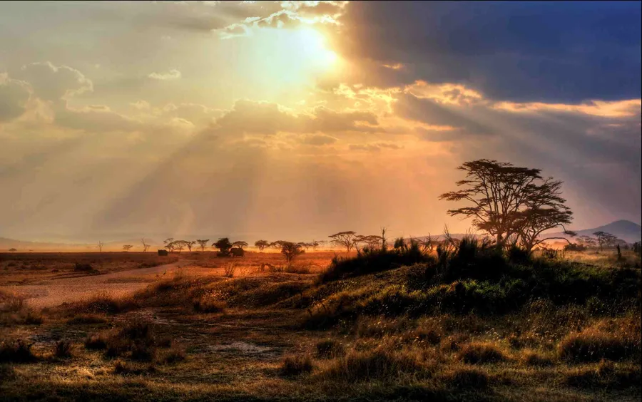 Sunset Viewing at Serengeti National Park