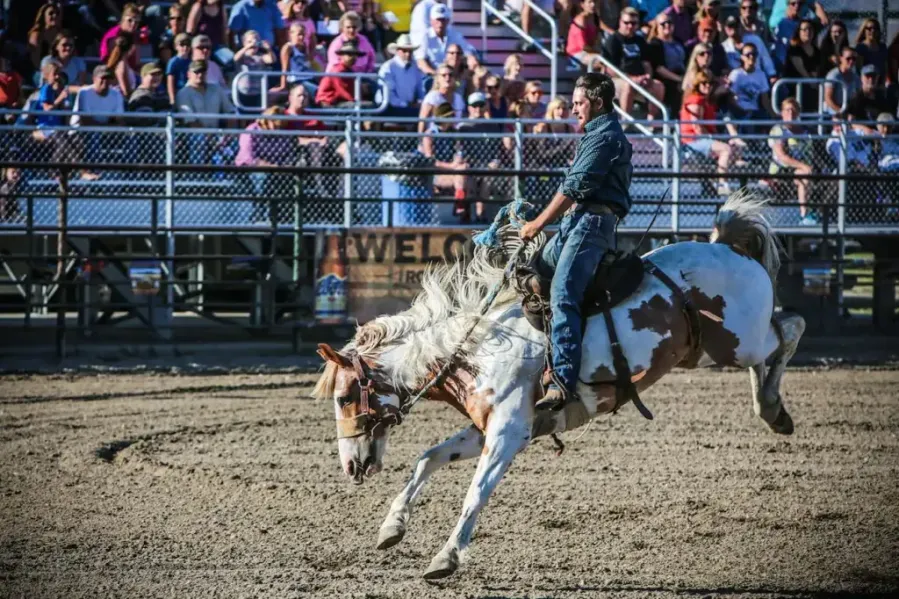 Sweet Grass County Fairgrounds