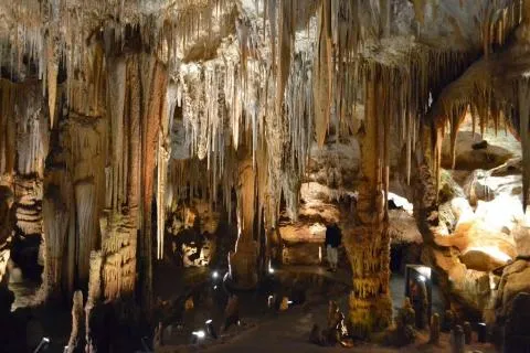Tantanoola Caves Conservation Park