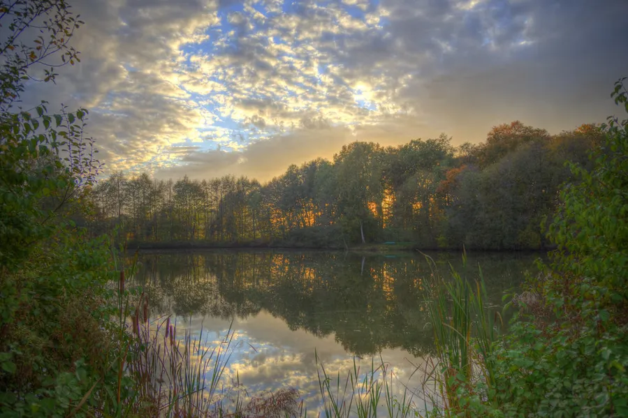 Teutoburg Forest