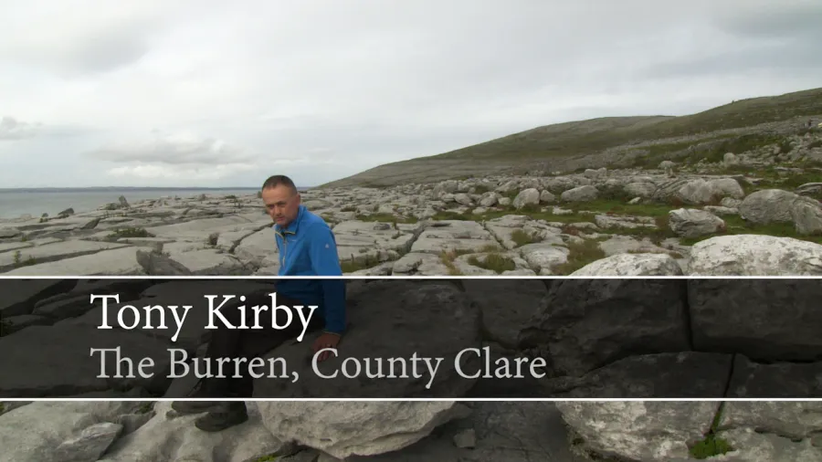 The Burren