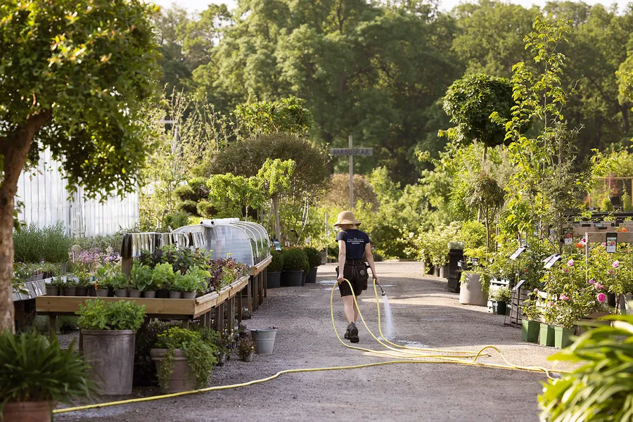 The Garden at Ulriksdal