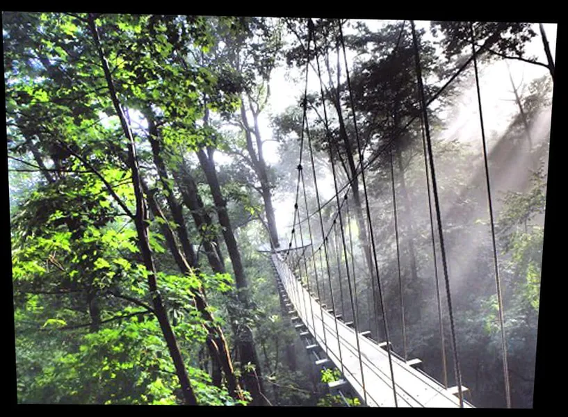 The Gorge Zipline Canopy Adventure