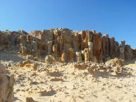 The Petrified Forest