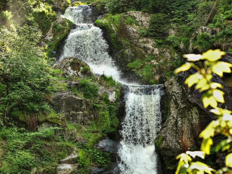 Triberg Waterfalls