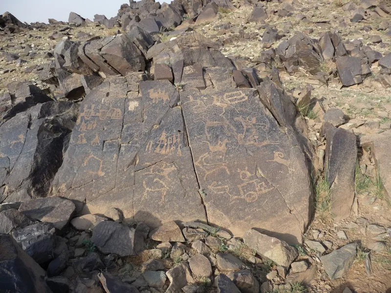 Tsagaan Salaa Petroglyphs
