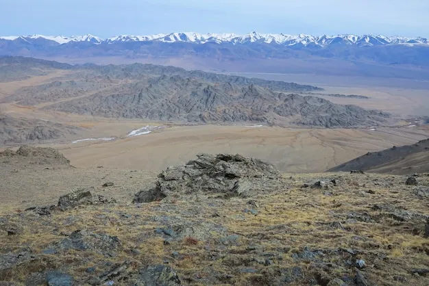Tsagaan Shuvuut