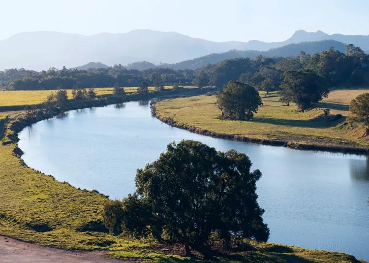 Tweed River