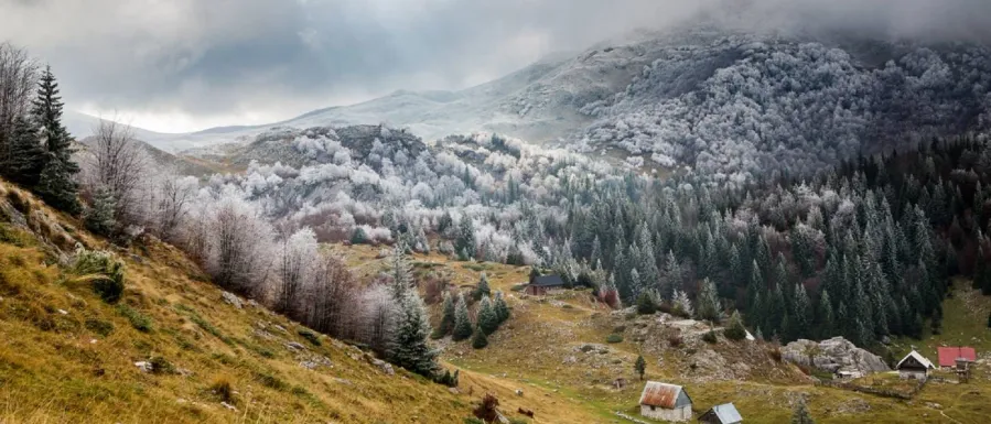 Veliko Polje