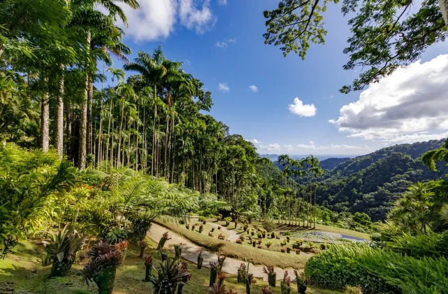 Visit to the Botanical Gardens