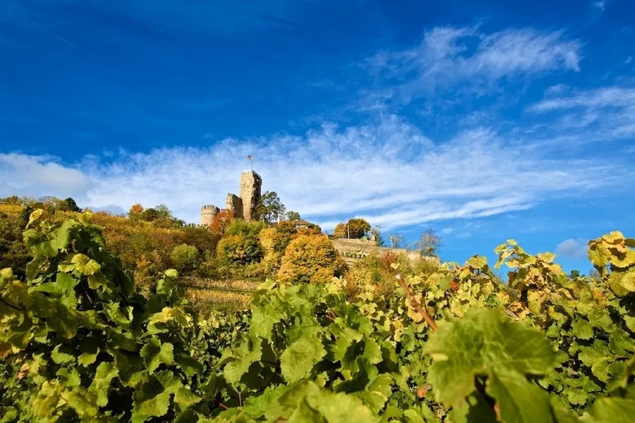 Weinlehrpfad Bad Dürkheim
