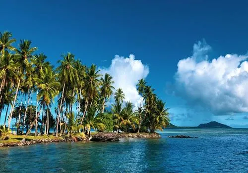Weno Island Market