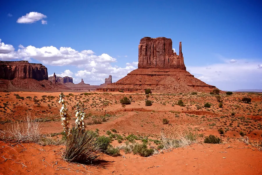 West Mitten Butte