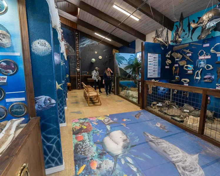 Whale Watching Center