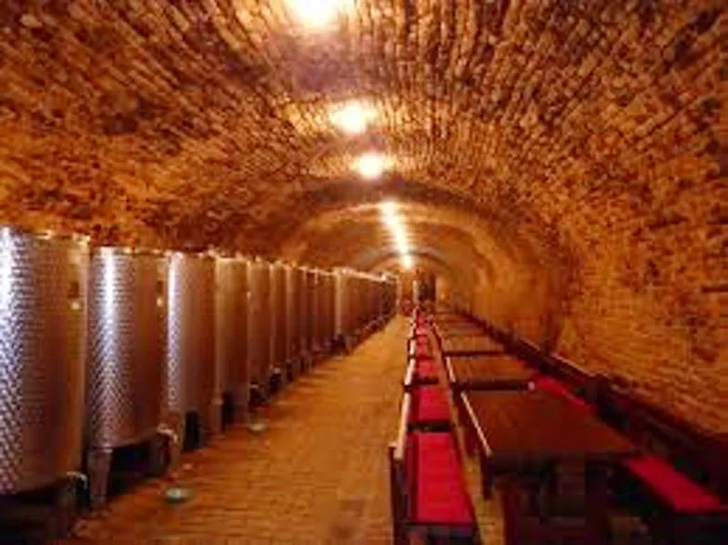 Wine Cellars