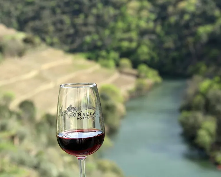 Wine Tasting at Local Vineyards