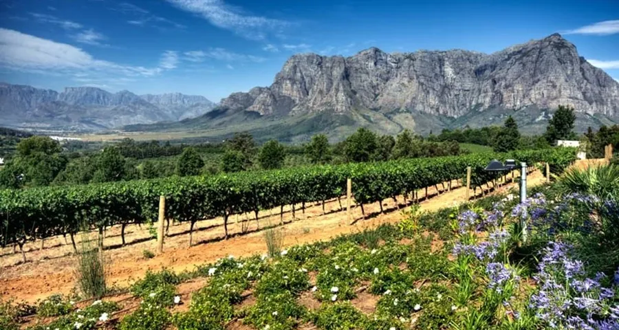 Winelands Tour