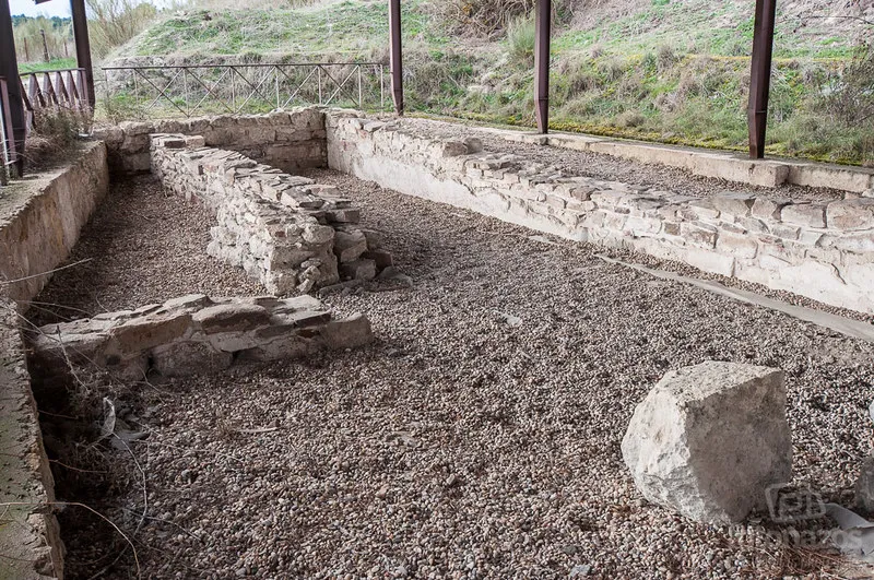 Yacimiento Arqueológico de Coca