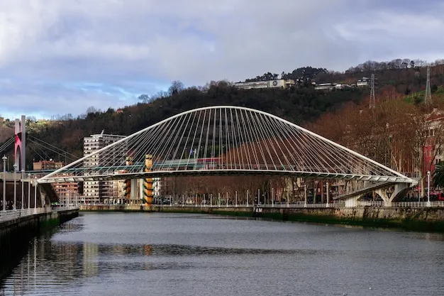 Zubizuri Bridge
