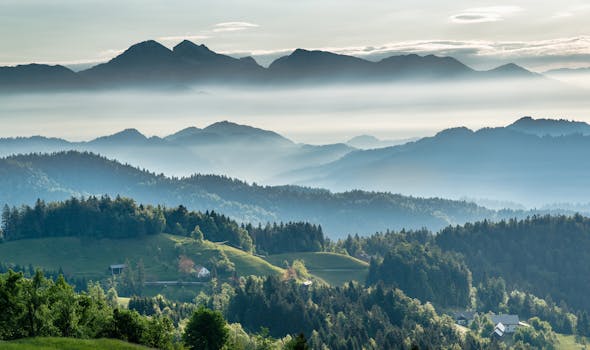 Škocjan Village