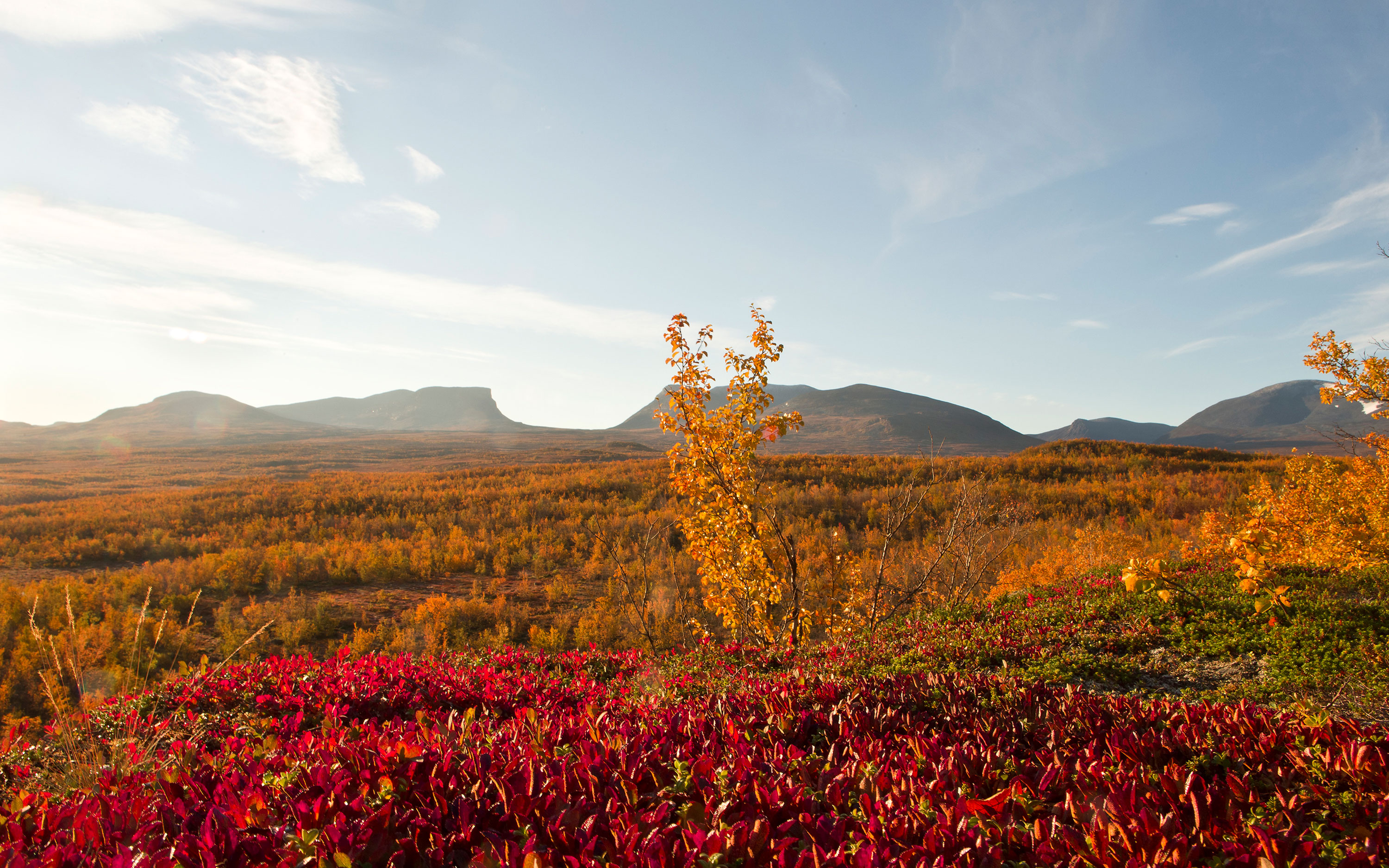 Abisko National Park