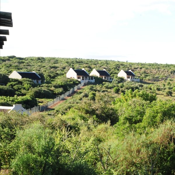 Addo Main Camp