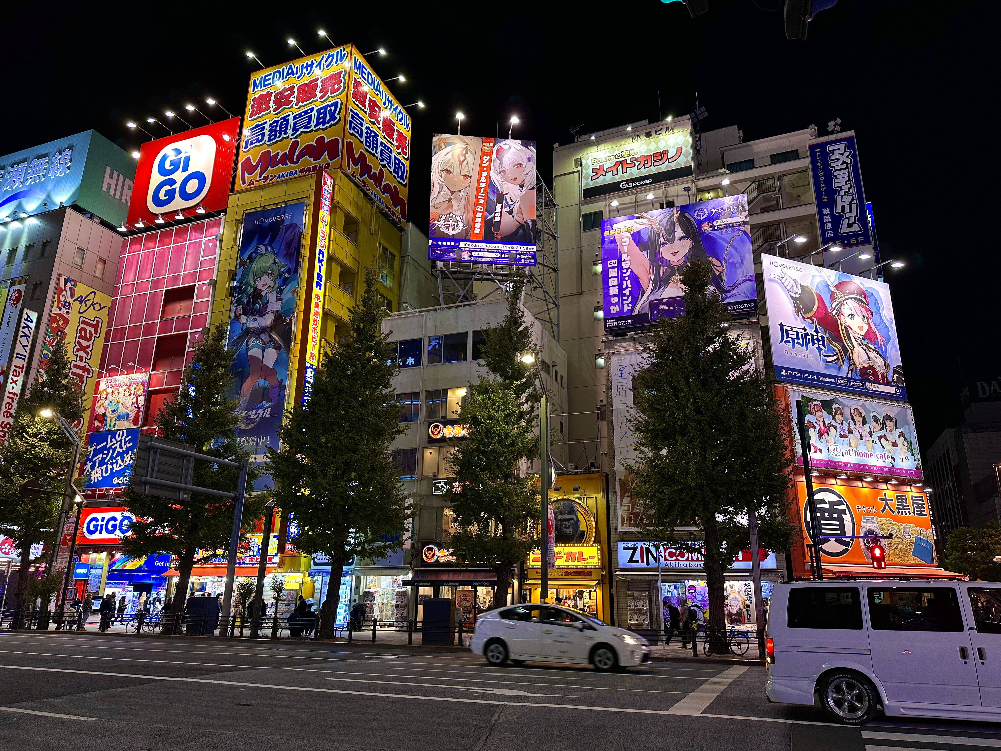 Akihabara District