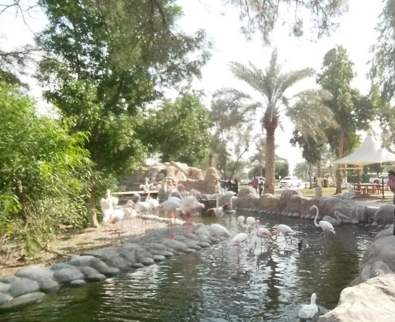 Al Areen Wildlife Park