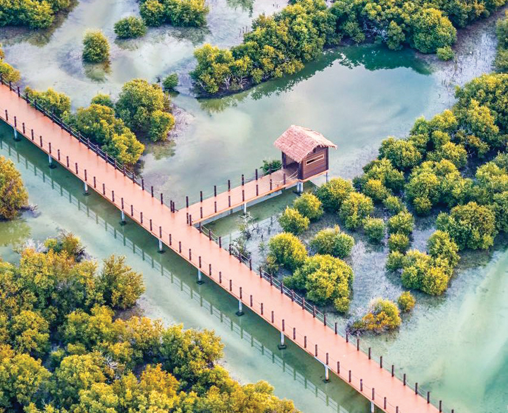 Al Thakhira Mangroves