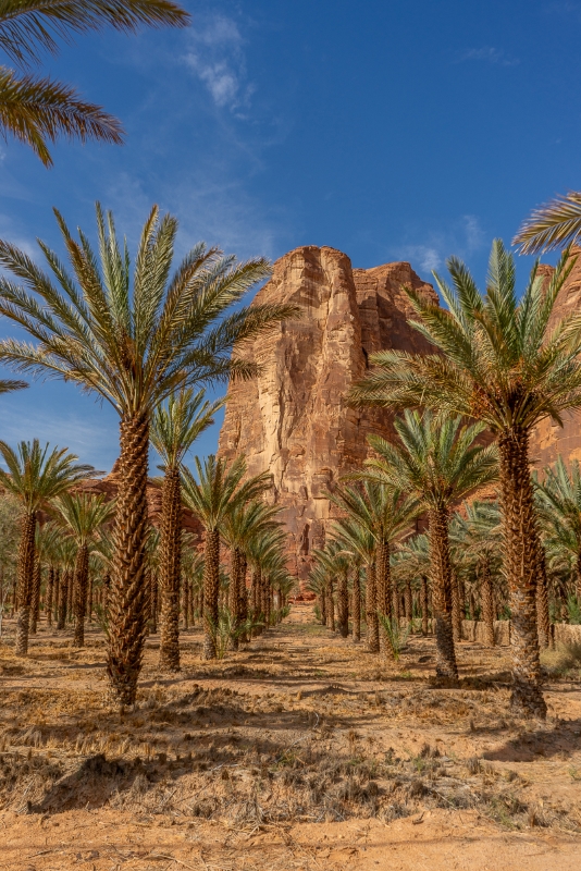 Al Ula Oasis