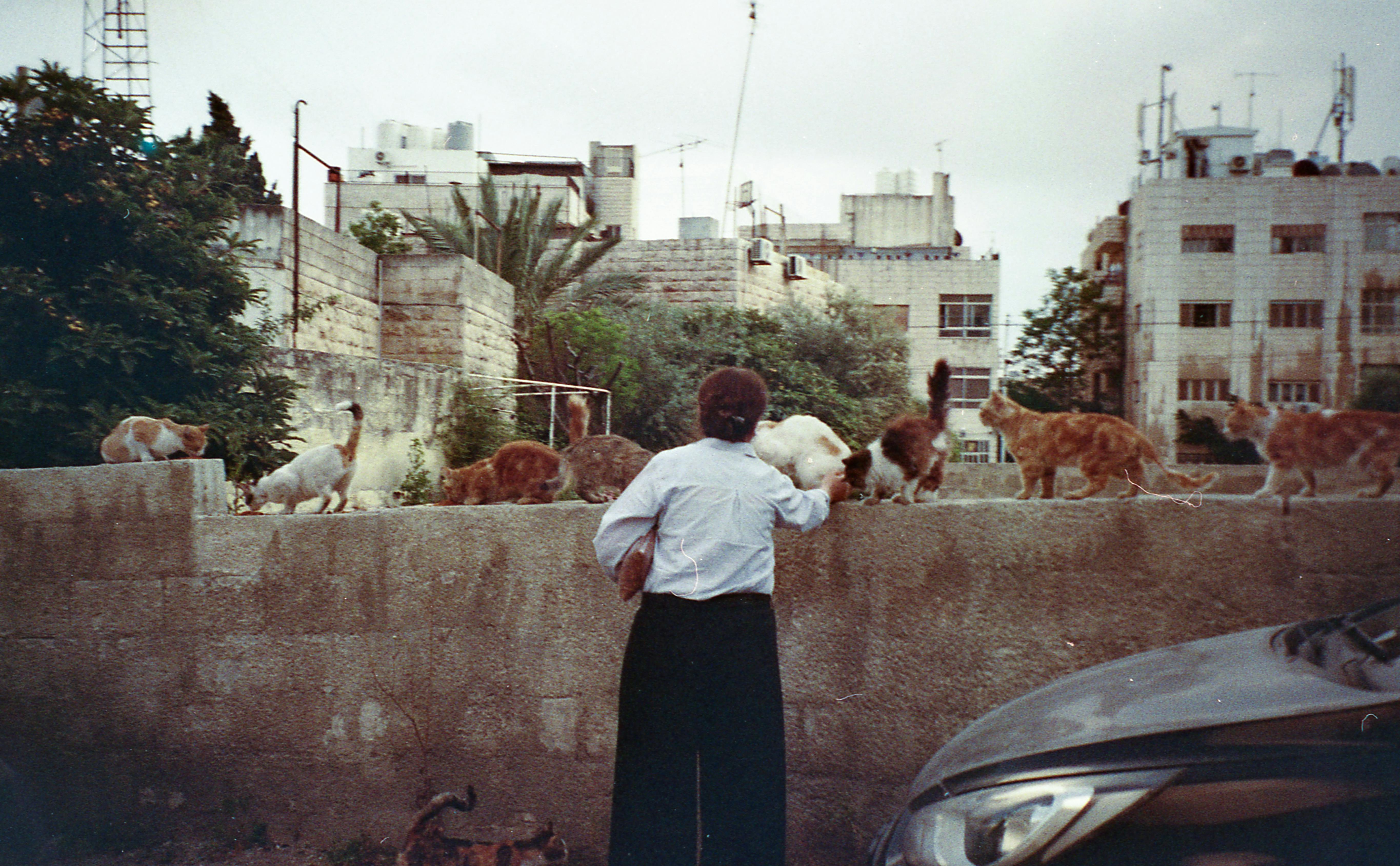 Al-Hammam Street