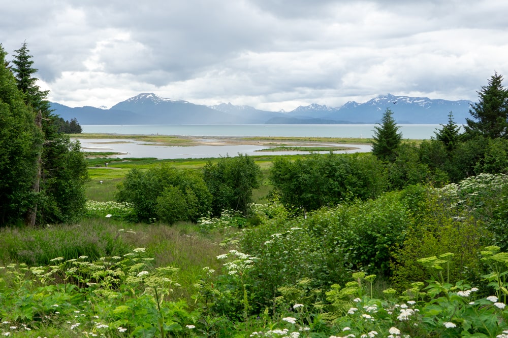 Alaska Islands and Ocean Visitor Center