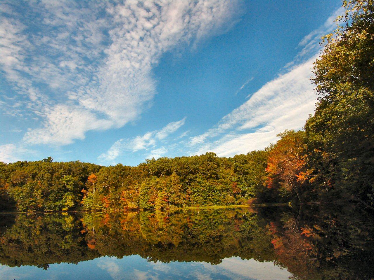 Albert E. Moss Sanctuary