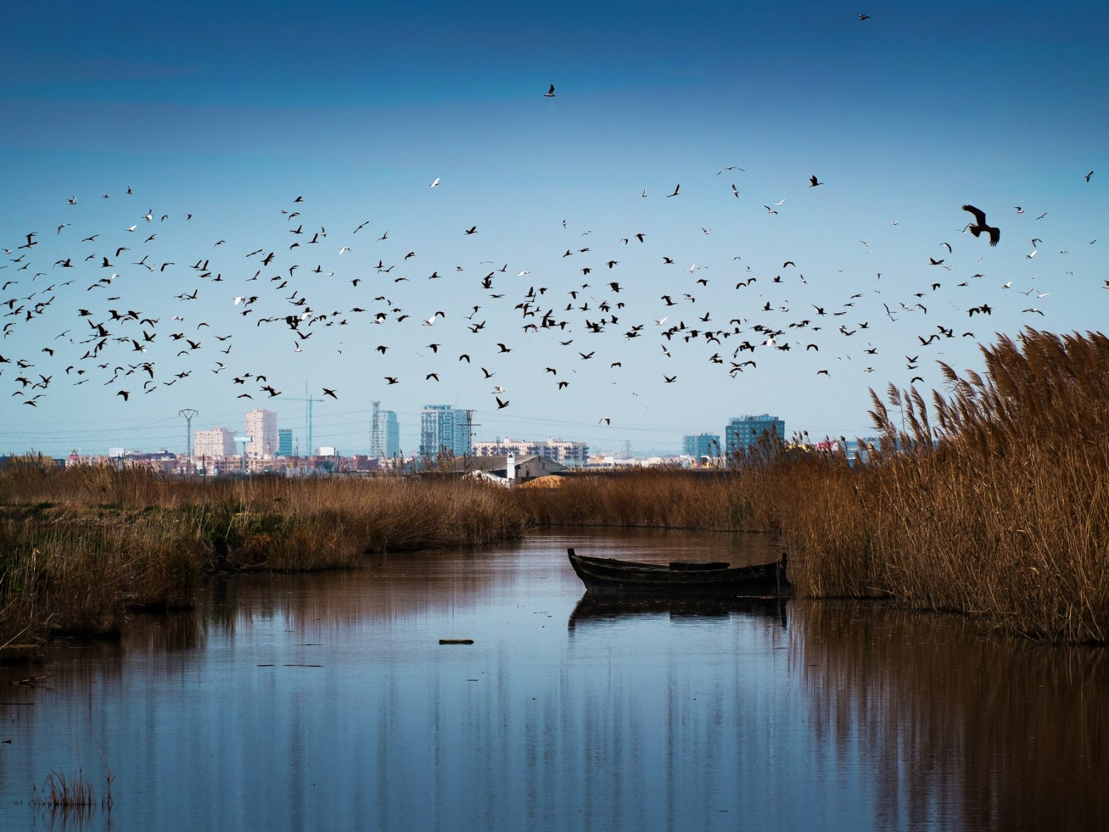 Albufera Natural Park