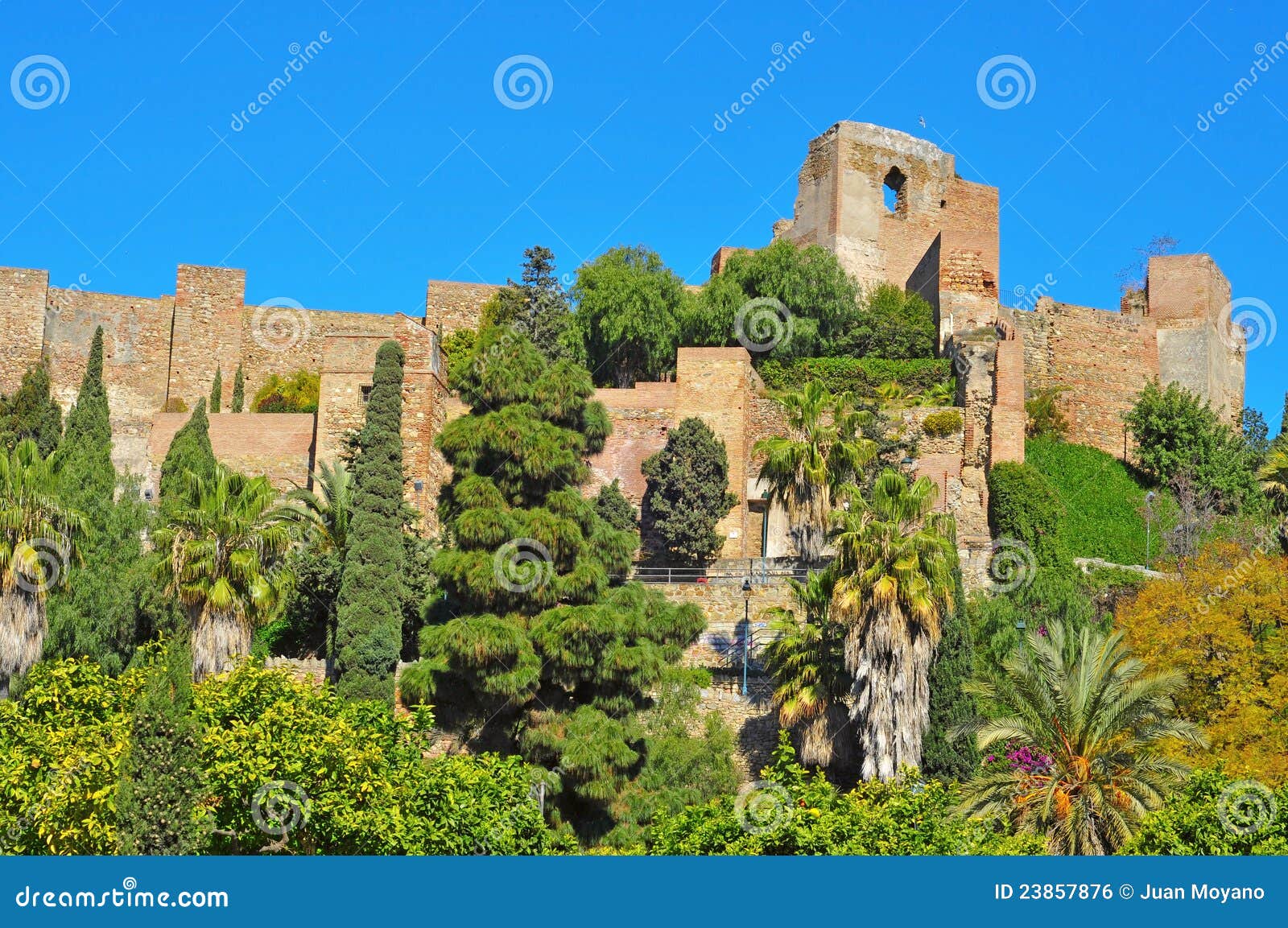 Alcazaba of Malaga