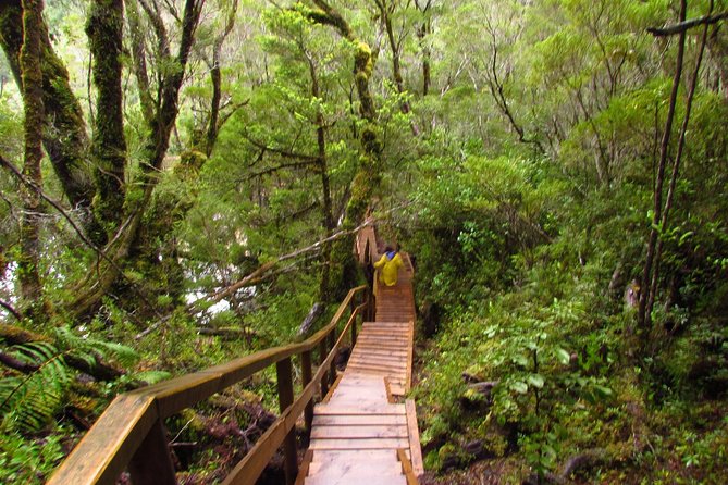 Alerce Andino National Park