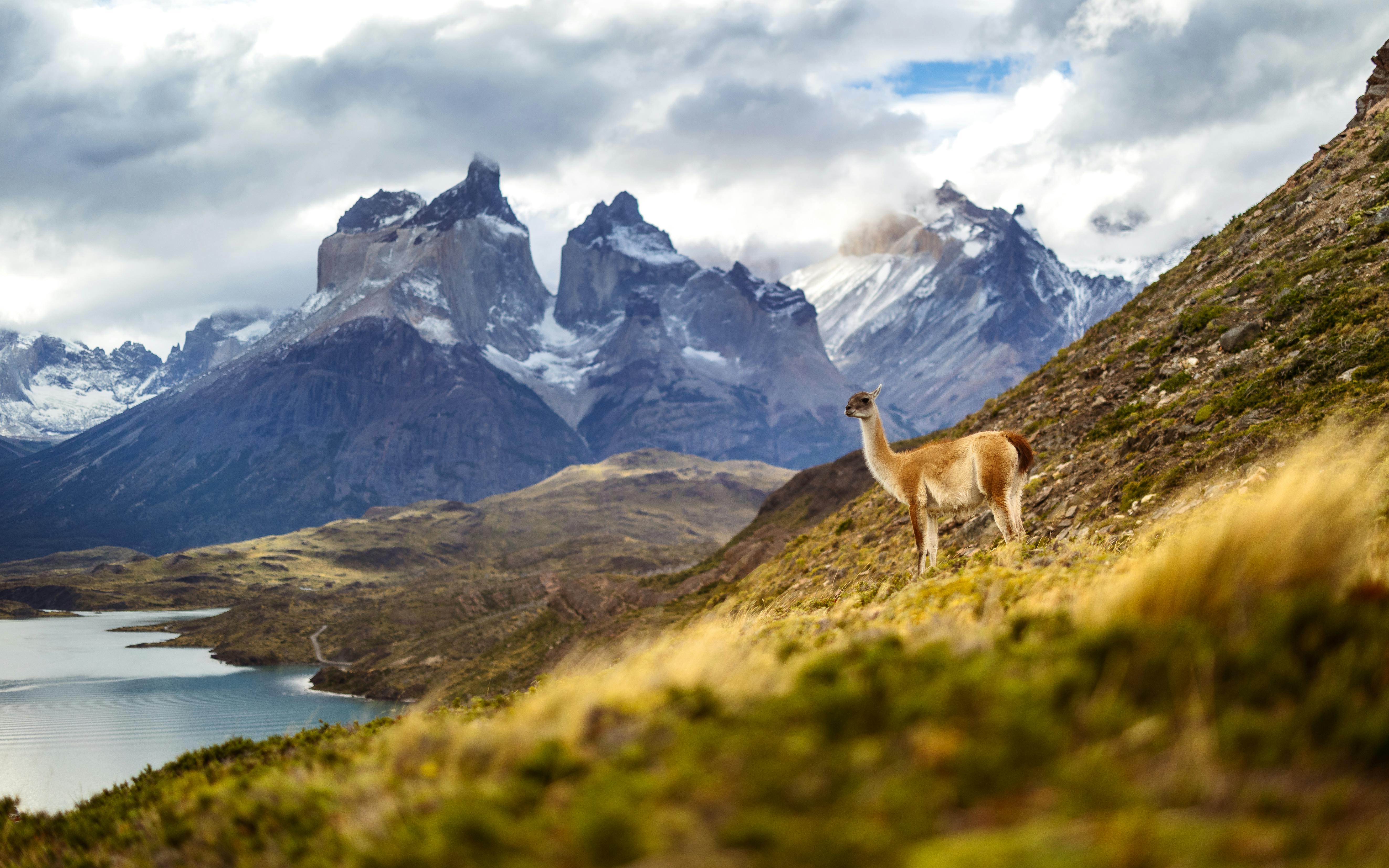 Alerce Andino National Park