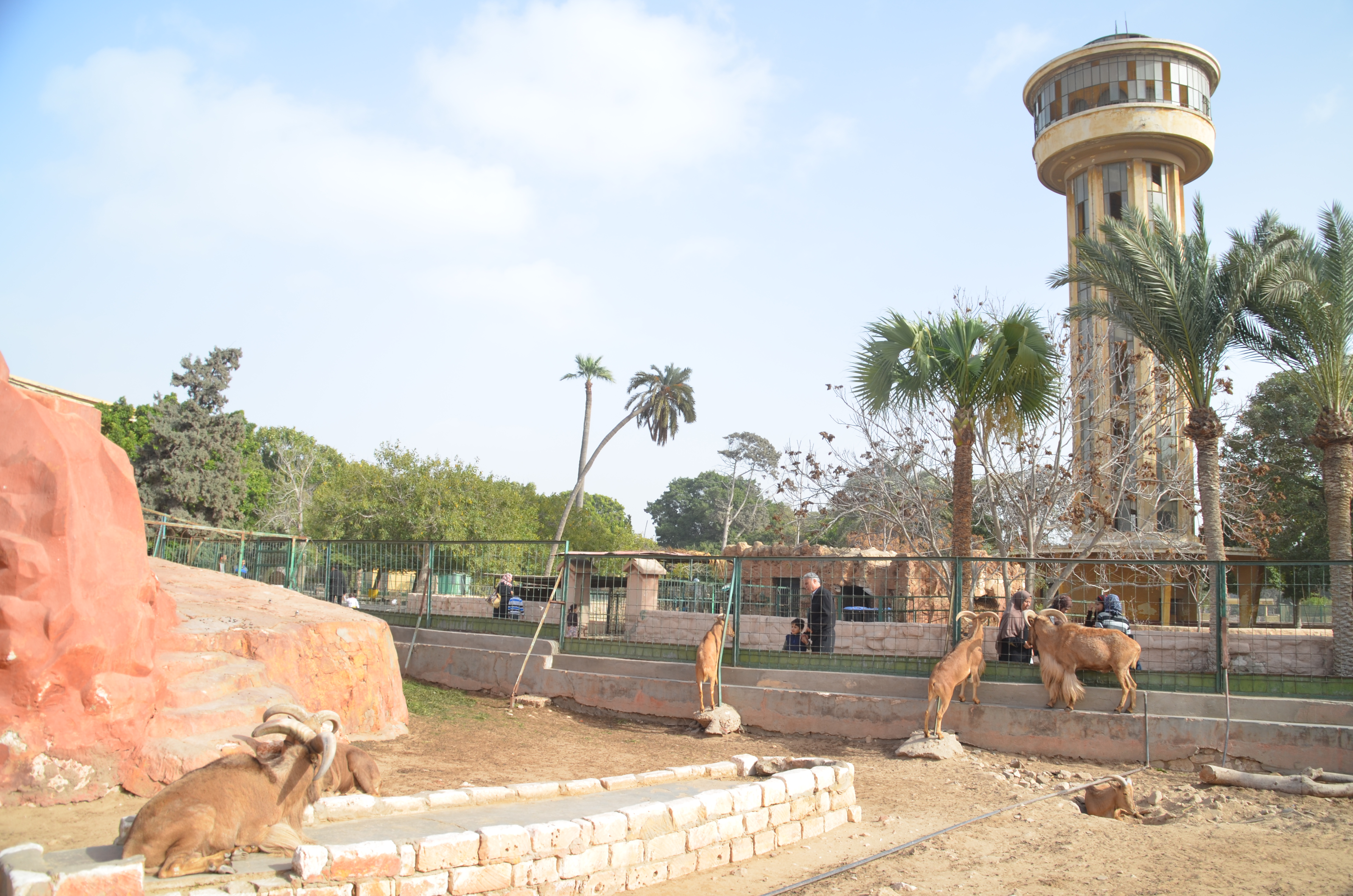 Alexandria Zoo