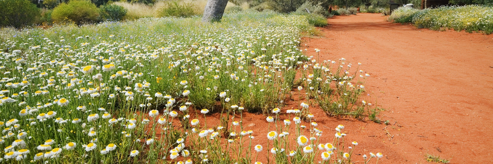 Alice Springs Desert Park