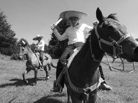 All the Pretty Horses Rescue and Sanctuary