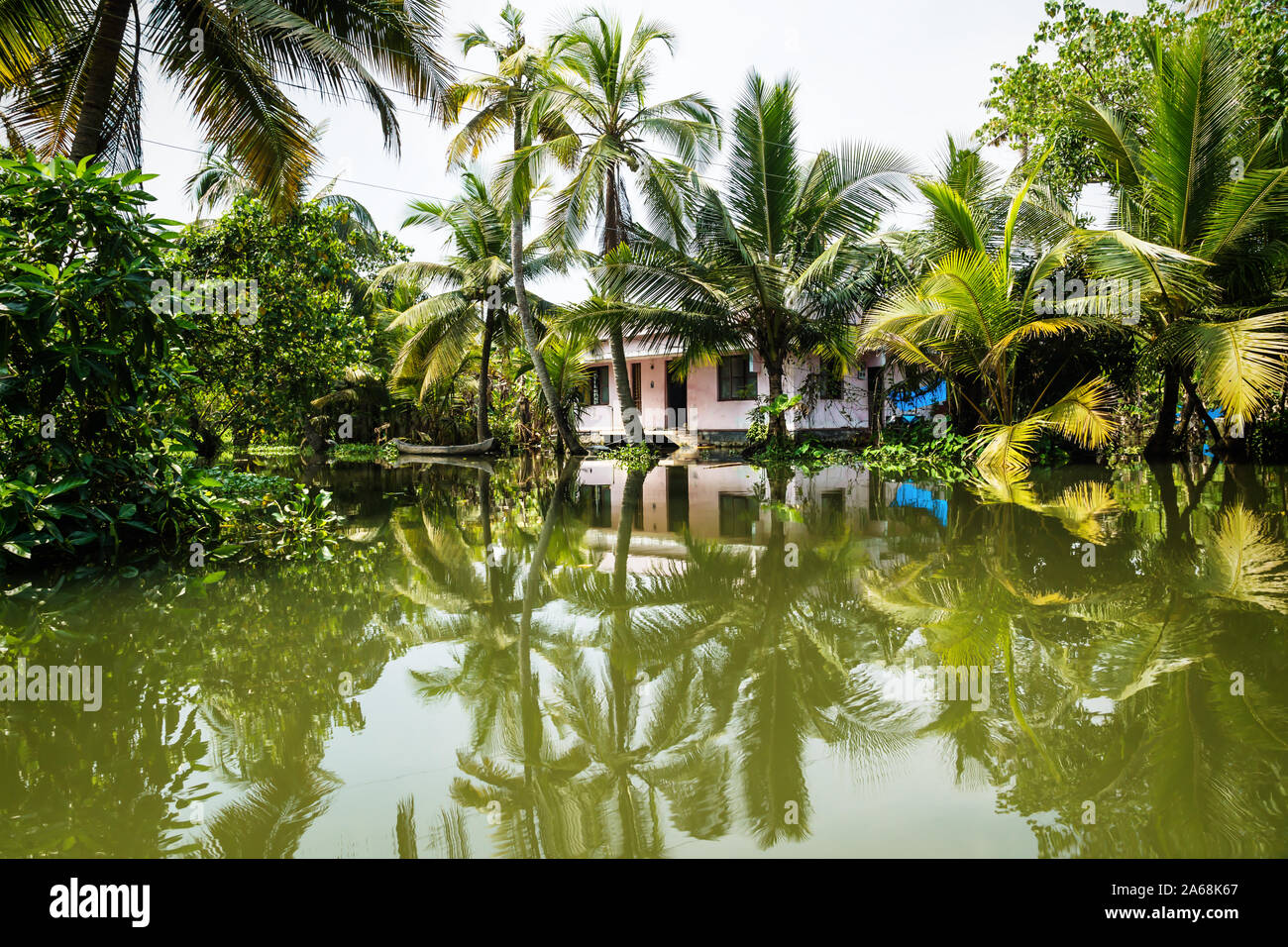 Alleppey Backwaters