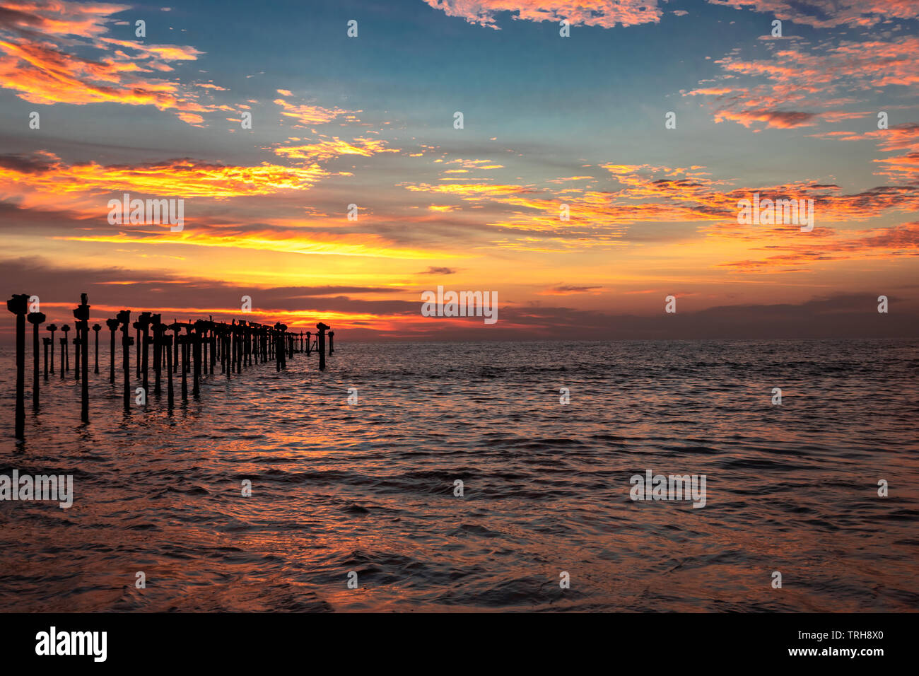 Alleppey Beach