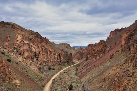 Alligator Hill Trail