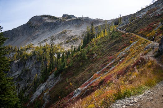 Alpine Loop Backcountry Byway