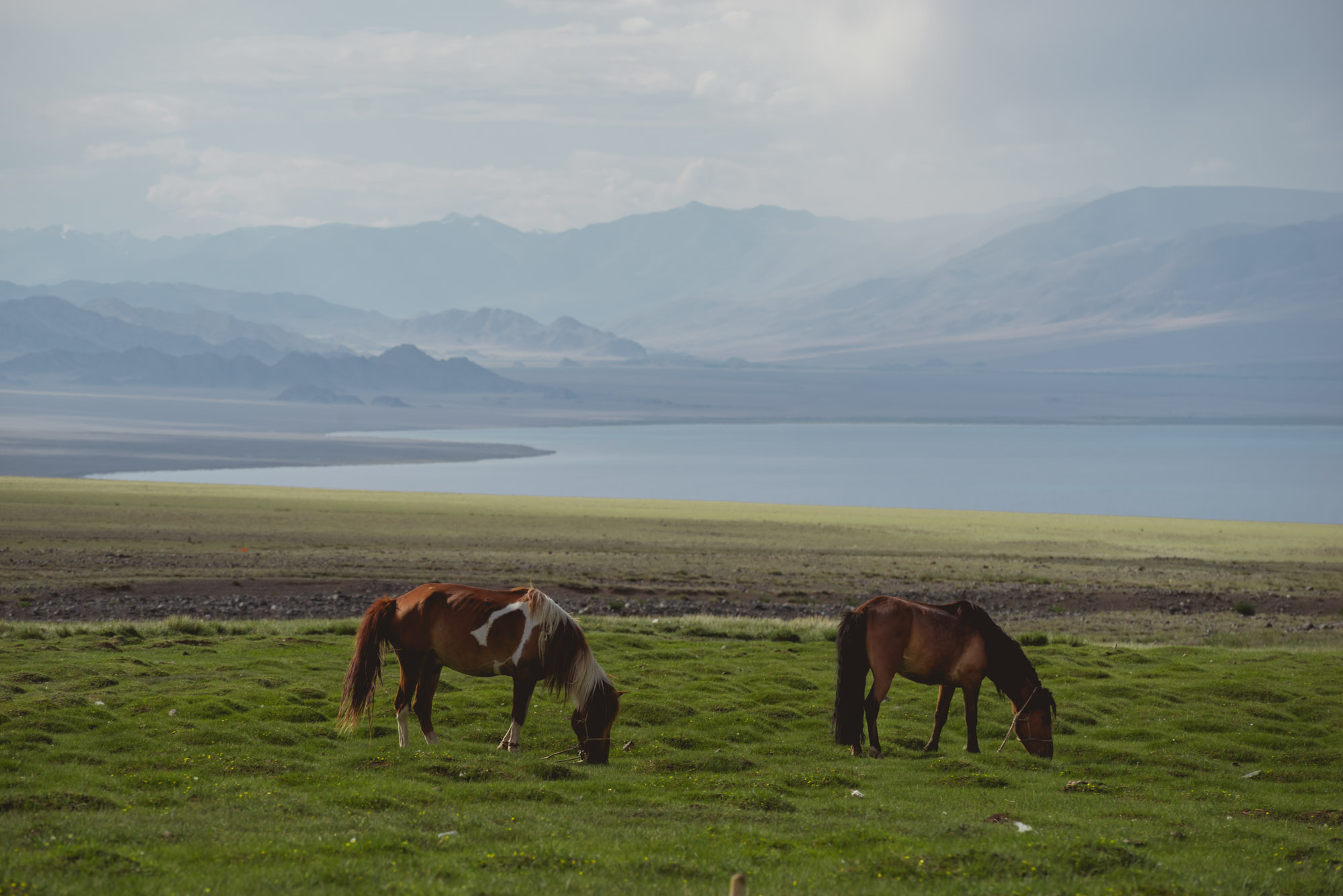 Altai Tavan Bogd National Park