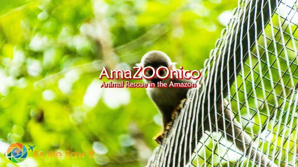 AmaZOOnico Animal Rescue Center