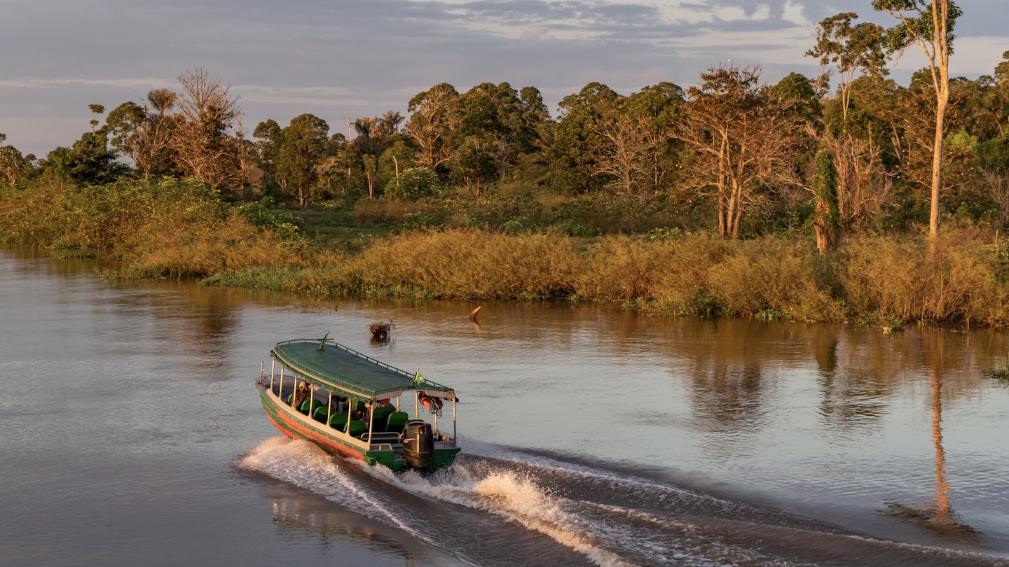 Amazon Rainforest