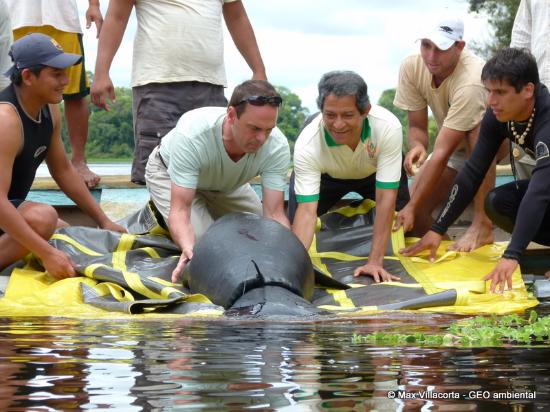 Amazon Rescue Center