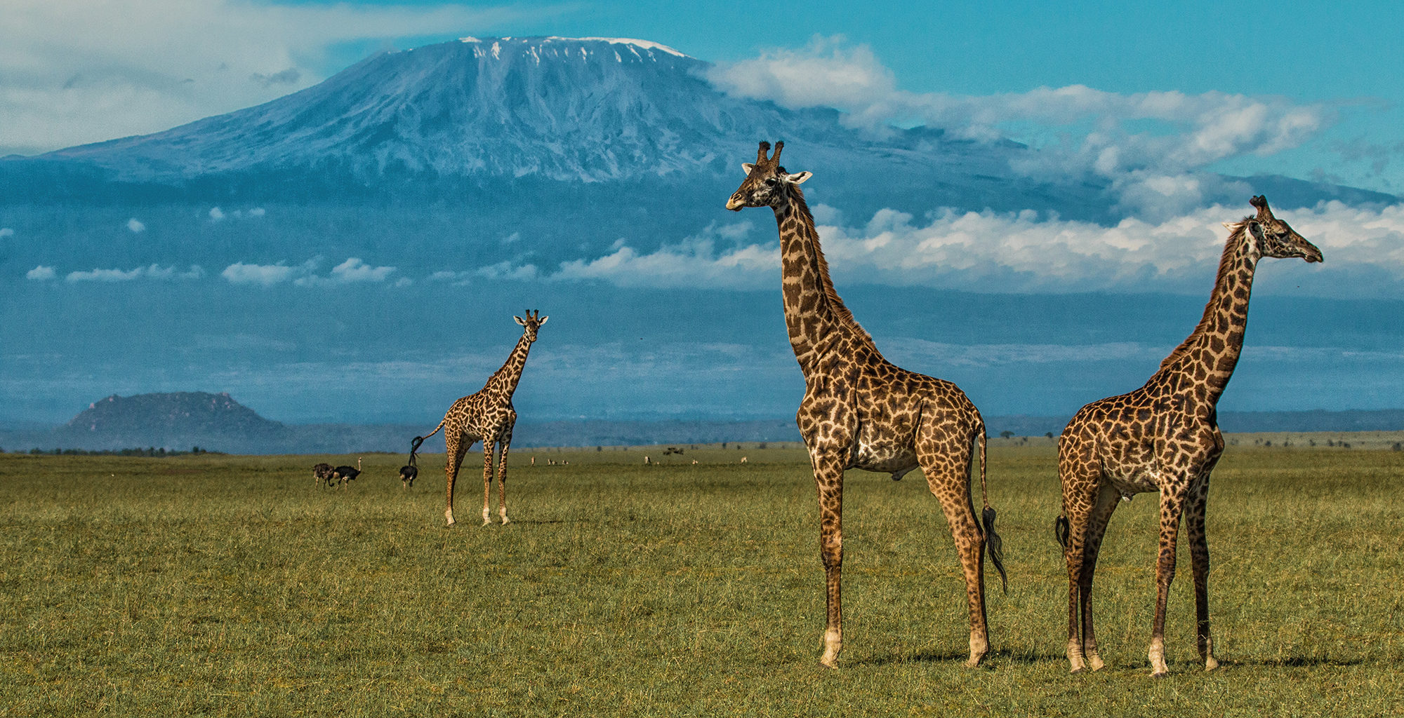 Amboseli National Park