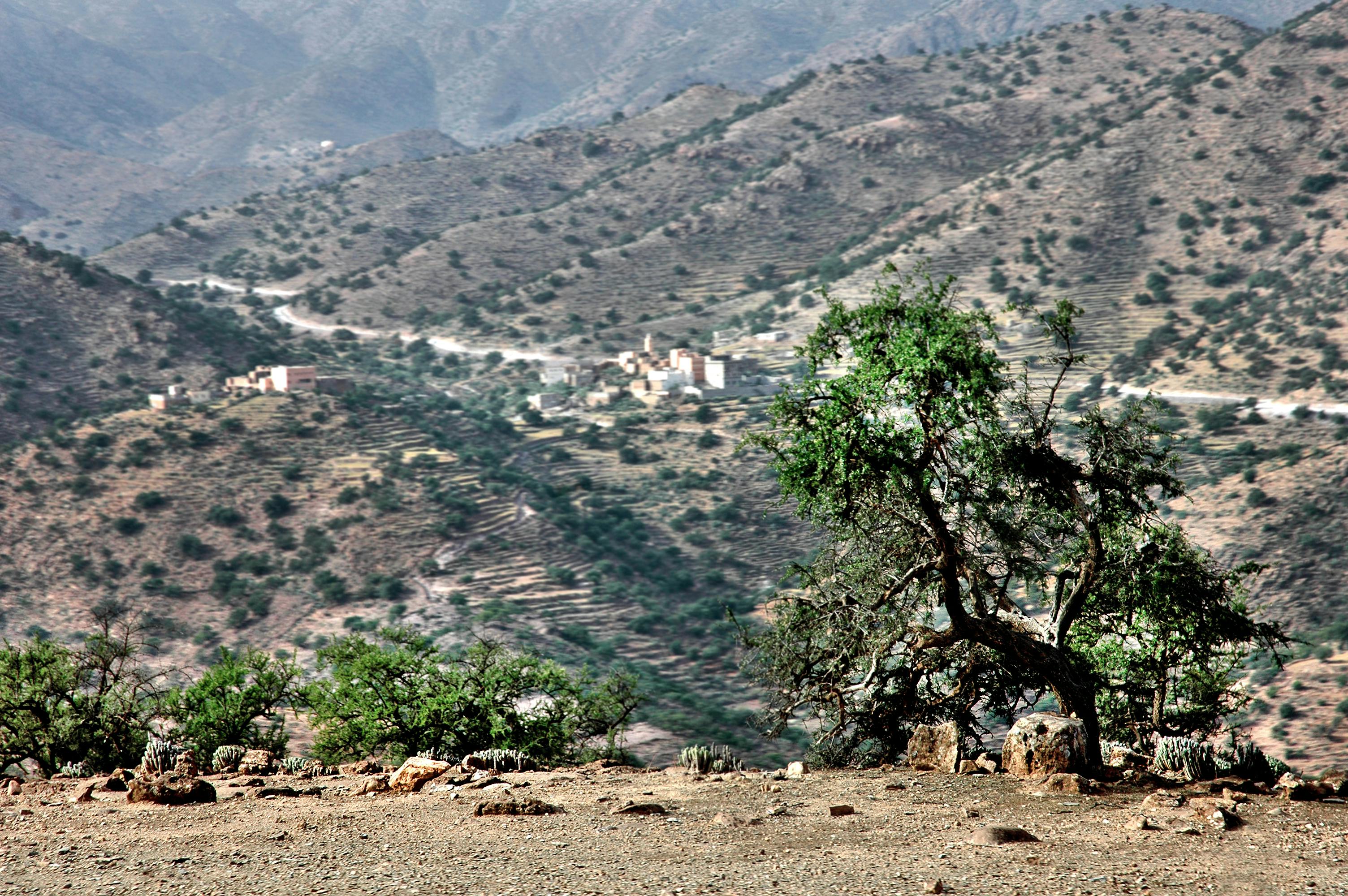 Ameln Valley